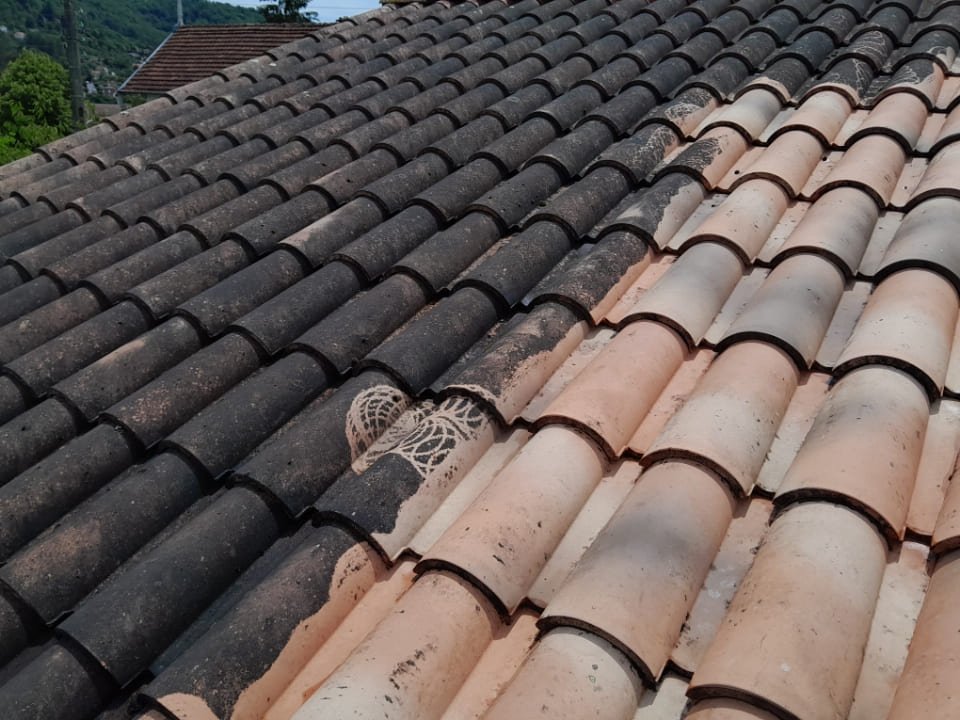 Démoussage toiture Villefranche-de-Rouergue réalisé par Jackel François Toiture